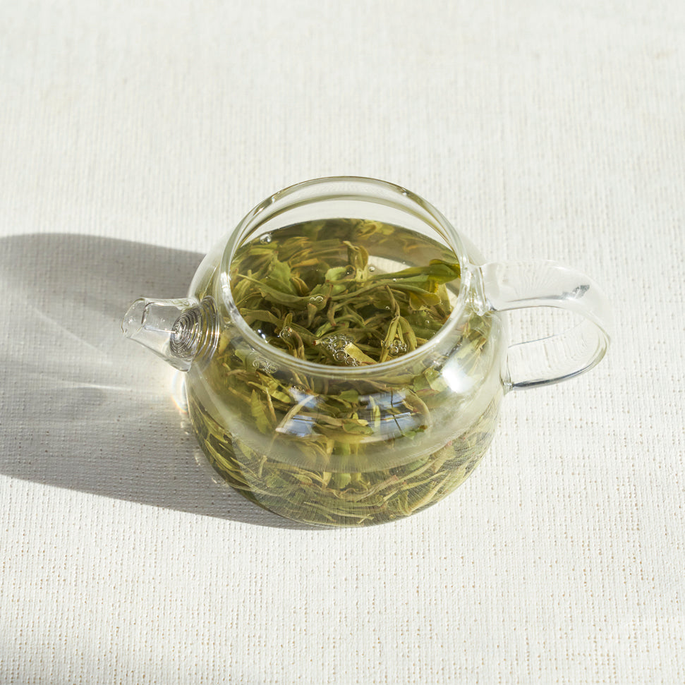 Glass Teapot