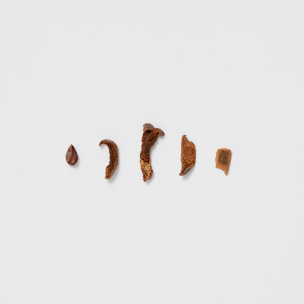 Wild Pear Cinnamon Tea